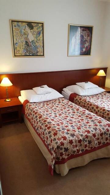 Фото номера Стандартный двухместный номер с 2 отдельными кроватями Отель Hotel Dworek*** г. Скерневице 3